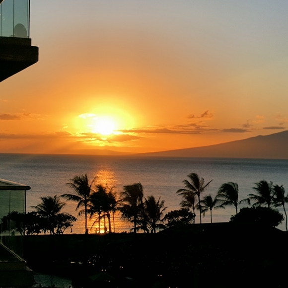 Meet your Posher, Kim - Picture 4 of 9